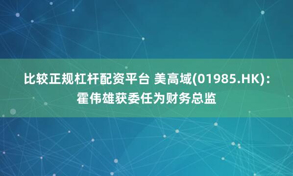 比较正规杠杆配资平台 美高域(01985.HK)：霍伟雄获委任为财务总监